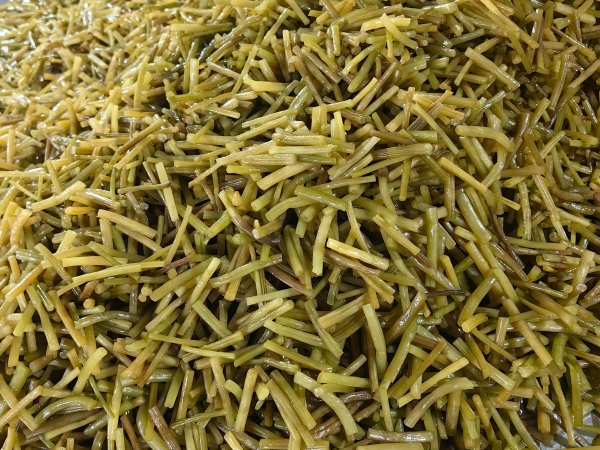 盐渍山芋梗切段