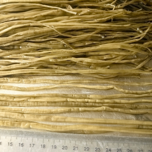 盐渍山芋梗条
